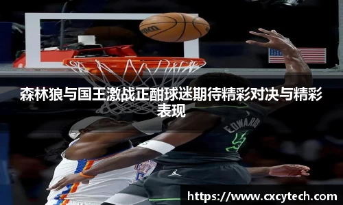 pa视讯森林狼与国王激战正酣球迷期待精彩对决与精彩表现